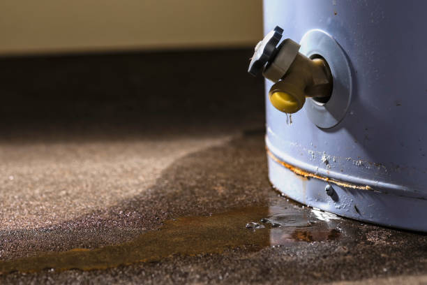 Best Local water damage restoration  in Teays Valley, WV