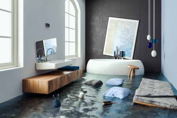 Best Professional water damage repair  in Teays Valley, WV