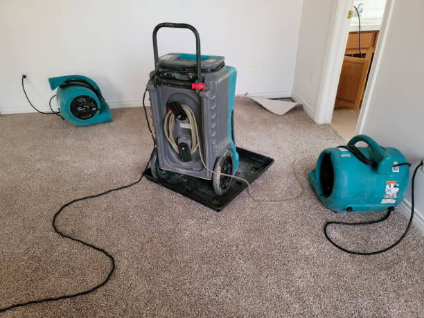 Water damage restoration mold remediation in Teays Valley, WV