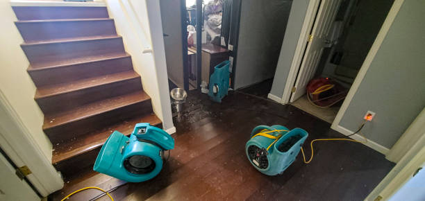 Best Sewage cleanup and water damage restoration  in Teays Valley, WV