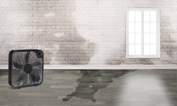 Teays Valley, WV Water damage restoration Pros