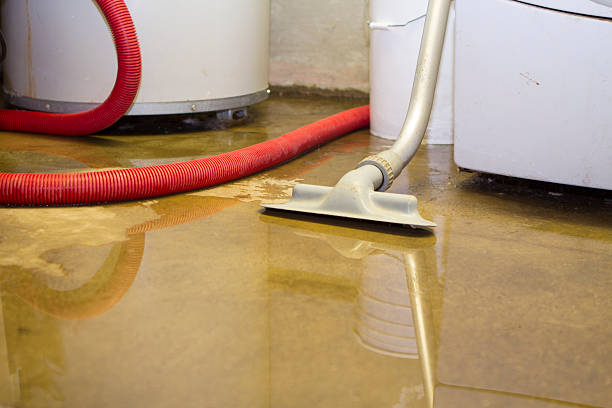 Best Water damage restoration experts  in Teays Valley, WV