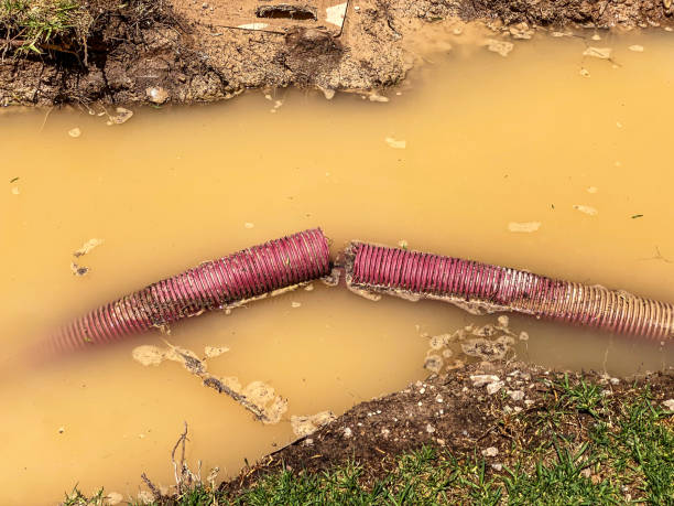 Teays Valley, WV Water damage restoration Company