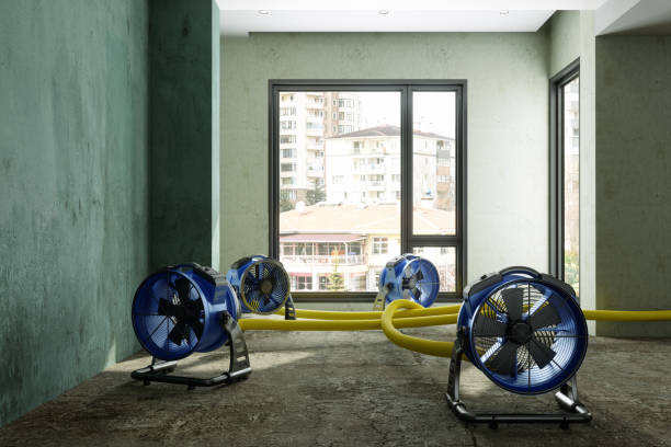 Best Local water damage restoration  in Teays Valley, WV