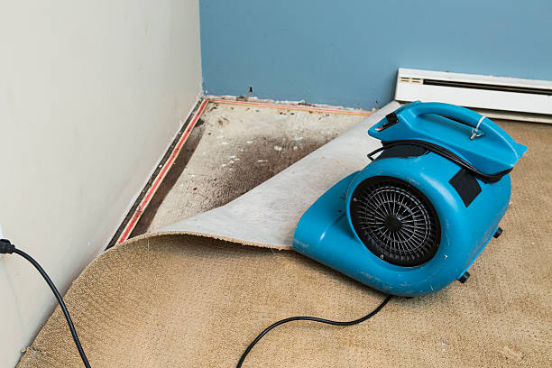 Sewage cleanup and water damage restoration in Teays Valley, WV